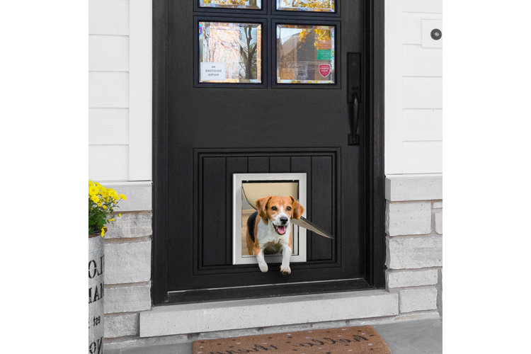 Menards doors store with doggie door